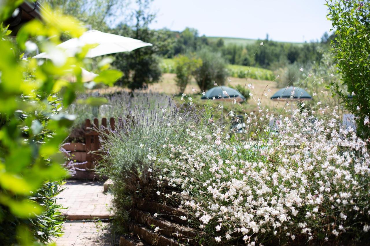 Country House Villa Sabrina San Ginesio Bagian luar foto