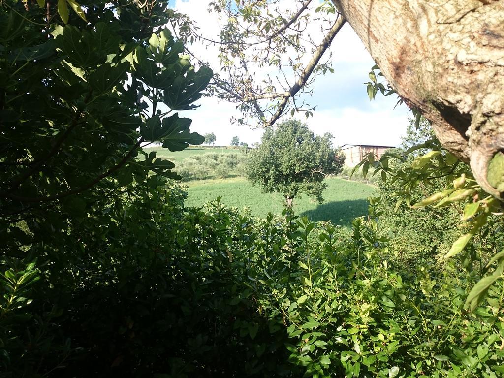 Country House Villa Sabrina San Ginesio Bagian luar foto